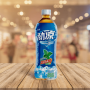 Master Kong Mint Ice Tea 康師傅勁涼冰紅茶 500ml